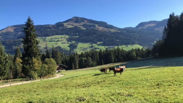 Freihof Villa Westendorf Buitenkant foto