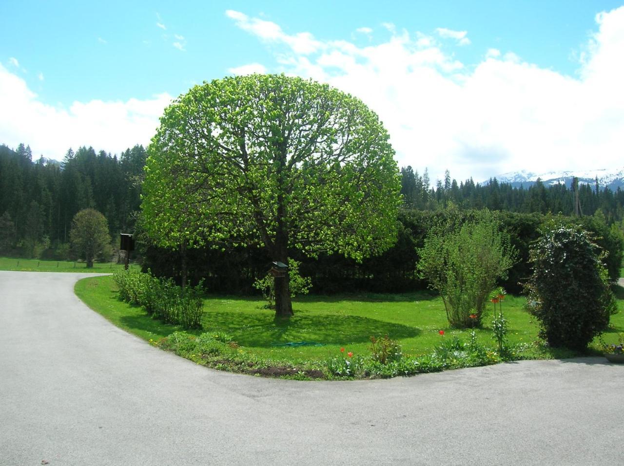 Freihof Villa Westendorf Buitenkant foto